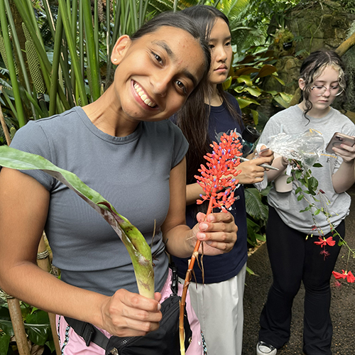 Participants with tropical plants